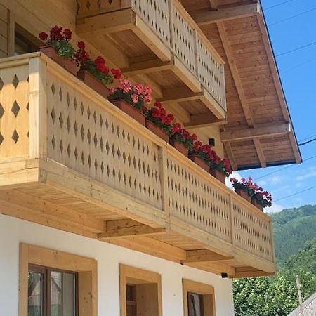 Отель Anahouse Вишеу-де-Сус Экстерьер фото