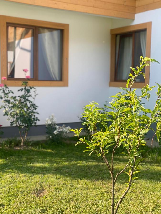 Отель Anahouse Вишеу-де-Сус Экстерьер фото